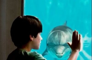 Winter's Story of A Dolphin Tale